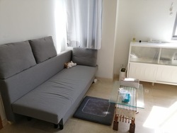 The Oxley (D9), Apartment #573542651